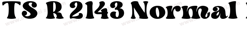 TS R 2143 Normal Regular字体转换